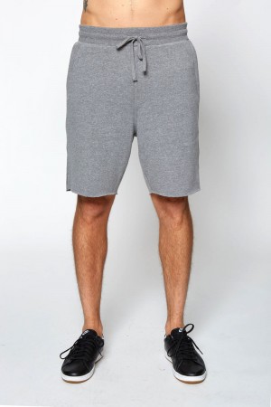 Grey Spiritual Gangster Fleece Men's Shorts | 02371-ZSME