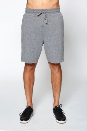 Grey Spiritual Gangster Fleece Men's Shorts | 05234-WHAV