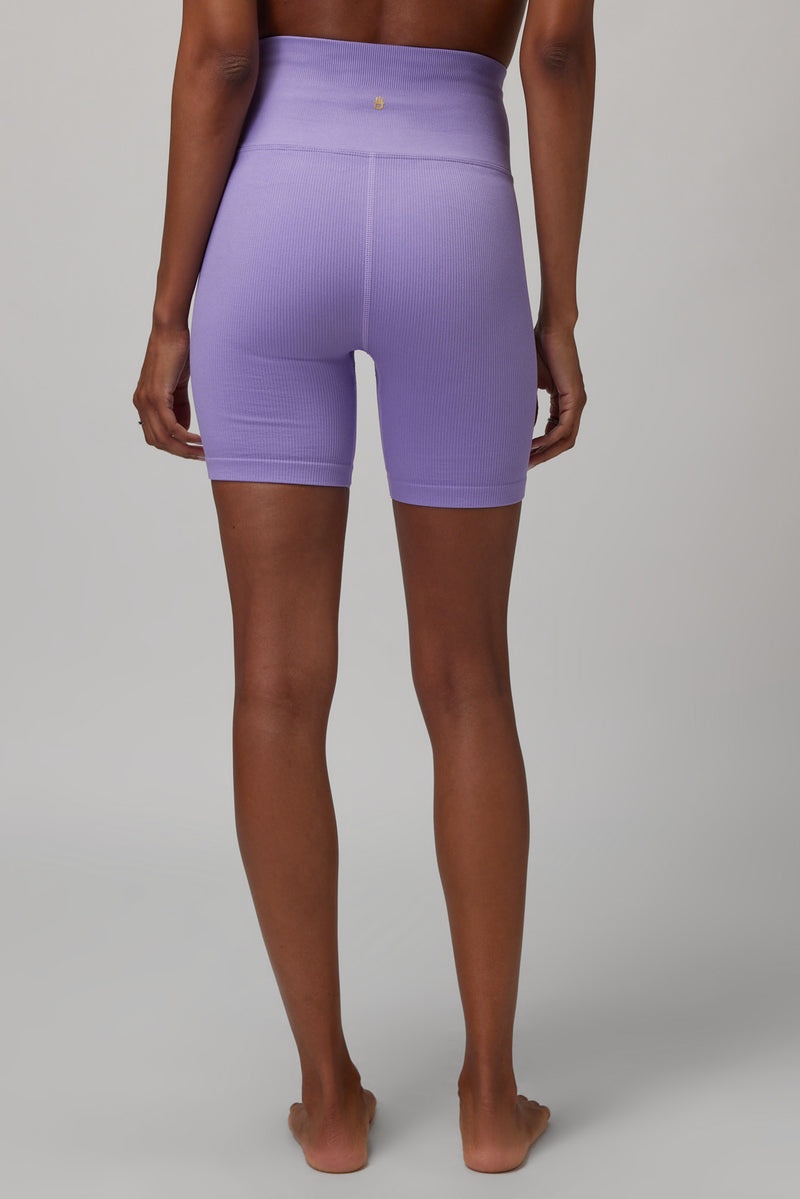 Amethyst Spiritual Gangster Seamless Biker Women's Shorts | 75930-UQPD